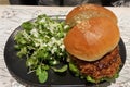 Chicken Burger with fresh salad