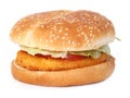 Chicken burger Royalty Free Stock Photo