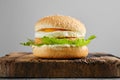 Chicken burger with fried egg and iceberg lettuce on wooden board, front view Royalty Free Stock Photo