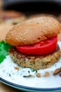 Chicken burgers cooking on an outdoor grill Royalty Free Stock Photo