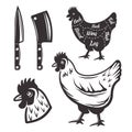 Chicken butchery vector objects or design elements Royalty Free Stock Photo