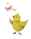 Chicken and butterflies. Watercolor illustration, postcard, children's poster.