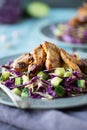 Chicken Cabbage Salad Royalty Free Stock Photo