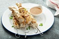 Chicken cabobs with ginger sauce Royalty Free Stock Photo