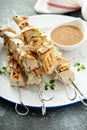 Chicken cabobs with ginger sauce Royalty Free Stock Photo