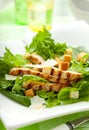 Chicken Caesar salad Royalty Free Stock Photo