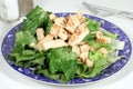 Chicken Caesar Salad Royalty Free Stock Photo