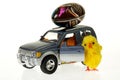 Chicken at car with Easter egg on the roof