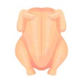 Chicken carcass icon, healthy raw bird meat