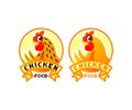 Chicken cartoon character in circle, illustration and logo design. Bird, food, poultry farm and poultry yard, vector