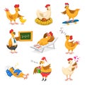 Chicken cartoon chick character on Christrmas or Valentines day party and hen in Santa hat with xmas gift fo kids and Royalty Free Stock Photo