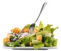 Chicken ceasar salad isolated Royalty Free Stock Photo