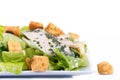 Chicken ceasar salad isolated Royalty Free Stock Photo