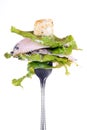 Chicken ceasar salad isolated Royalty Free Stock Photo