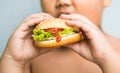 Chicken cheese Hamburger on obese fat boy hand Royalty Free Stock Photo