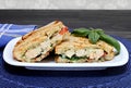 Chicken, cheese, and pesto panini sandwich. Royalty Free Stock Photo