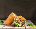 Chicken and cheese tomato tortilla wrap