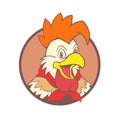 THE CHICKEN CHEF LOGO