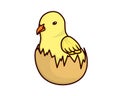 Chicken Child or Chick Born and Emerges from the Egg
