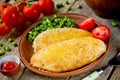 Chicken chop cutlet or schnitzel with cheese and green salad che Royalty Free Stock Photo