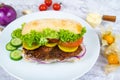 CHICKEN CHOP PANINI with cheese, tomato, cucumber and mayo dip served in a bowl isolated on grey background side view healthy Royalty Free Stock Photo