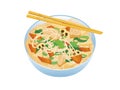 Chicken chop suey with noodles icon vector