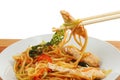 Chicken Chow Mein Royalty Free Stock Photo