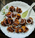 Chicken with cilantro and mint leaves chutni in bengal kolkatta