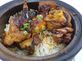Chicken Claypot Rice Royalty Free Stock Photo