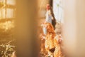 chicken close-up behind a fence, front and back background blurred with bokeh effect Royalty Free Stock Photo