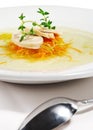 Chicken Consomme Soup Royalty Free Stock Photo