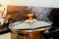 Chicken is cooked on a gas stove in a preparing chicken soup with vegetables herbs Royalty Free Stock Photo