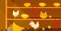 Chicken coop banner