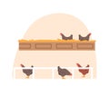Chicken In Coop Nest With Hay. The Image Provides An Authentic And Rustic Feel And Ideal For Promoting Organic Products