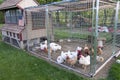 Chicken coop Royalty Free Stock Photo