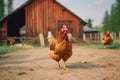 Chicken countryside farm. Generate Ai