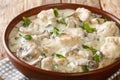 Chicken in Cream Sauce Ciulama closeup in the plate. Horizontal Royalty Free Stock Photo