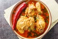 Chicken curry a Maharashtrian dish is made with aromatic Malvani spices and coconut closeup on the bowl. Horizontal top view Royalty Free Stock Photo