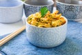 Chicken curry noodles Royalty Free Stock Photo