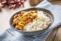 Chicken curry rice chili and young onion in bowl Royalty Free Stock Photo