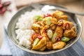 Chicken curry rice chili and young onion in bowl Royalty Free Stock Photo