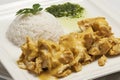 Chicken with curry sauce Royalty Free Stock Photo