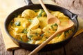 Chicken curry in a sauce of coconut milk close-up. horizontal Royalty Free Stock Photo