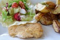 Chicken cutlet, baked potatoes, salad and mozzarella cheese. Royalty Free Stock Photo