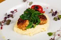 Chicken cutlet with mushed potato Royalty Free Stock Photo