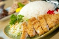 Chicken Cutlet Rice Royalty Free Stock Photo