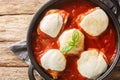 Chicken Cutlets in Pizzaiola Sauce and mozzarella closeup on the pan. Horizontal top view Royalty Free Stock Photo