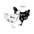 Chicken cuts. Diagrams for butcher shop. Scheme of chicken. Vector illustration.