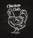 Chicken cuts. template menu design for restaurant, cafe Royalty Free Stock Photo