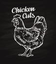 Chicken cuts. template menu design for restaurant, cafe